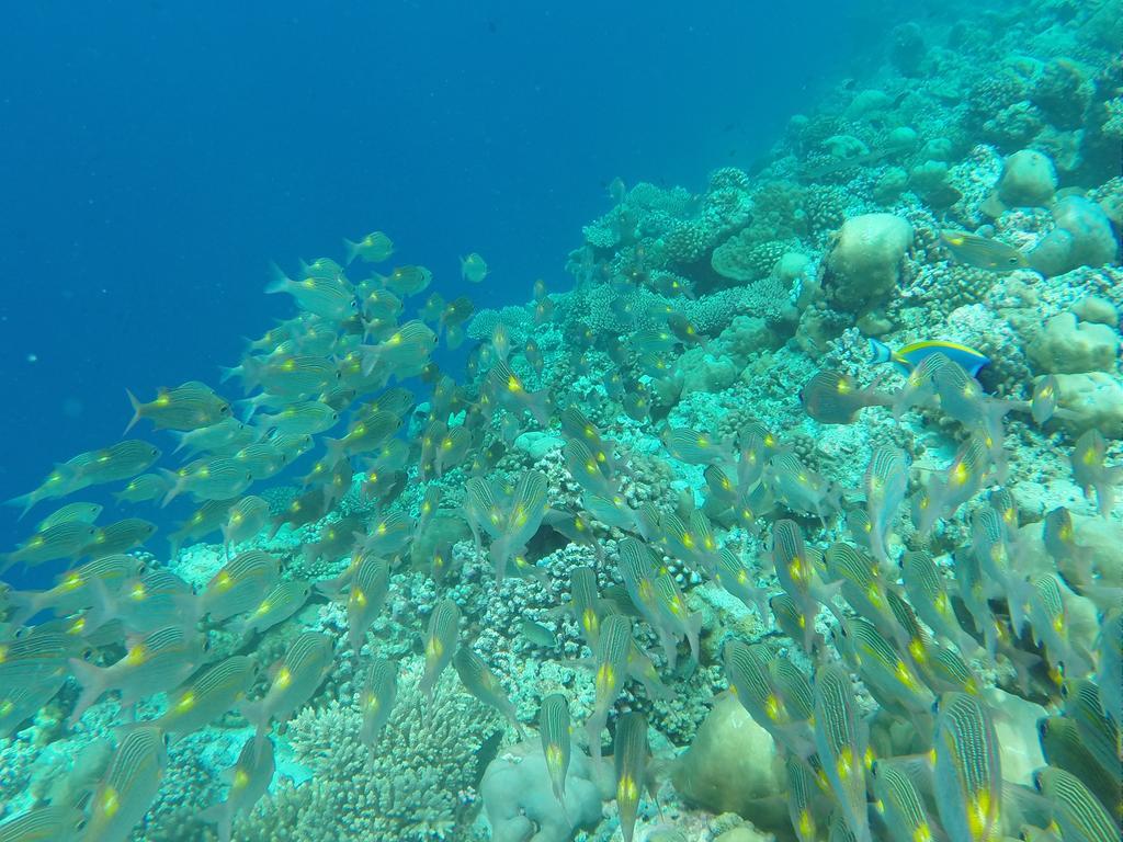 Ras Beach Inn Rasdhoo Zewnętrze zdjęcie