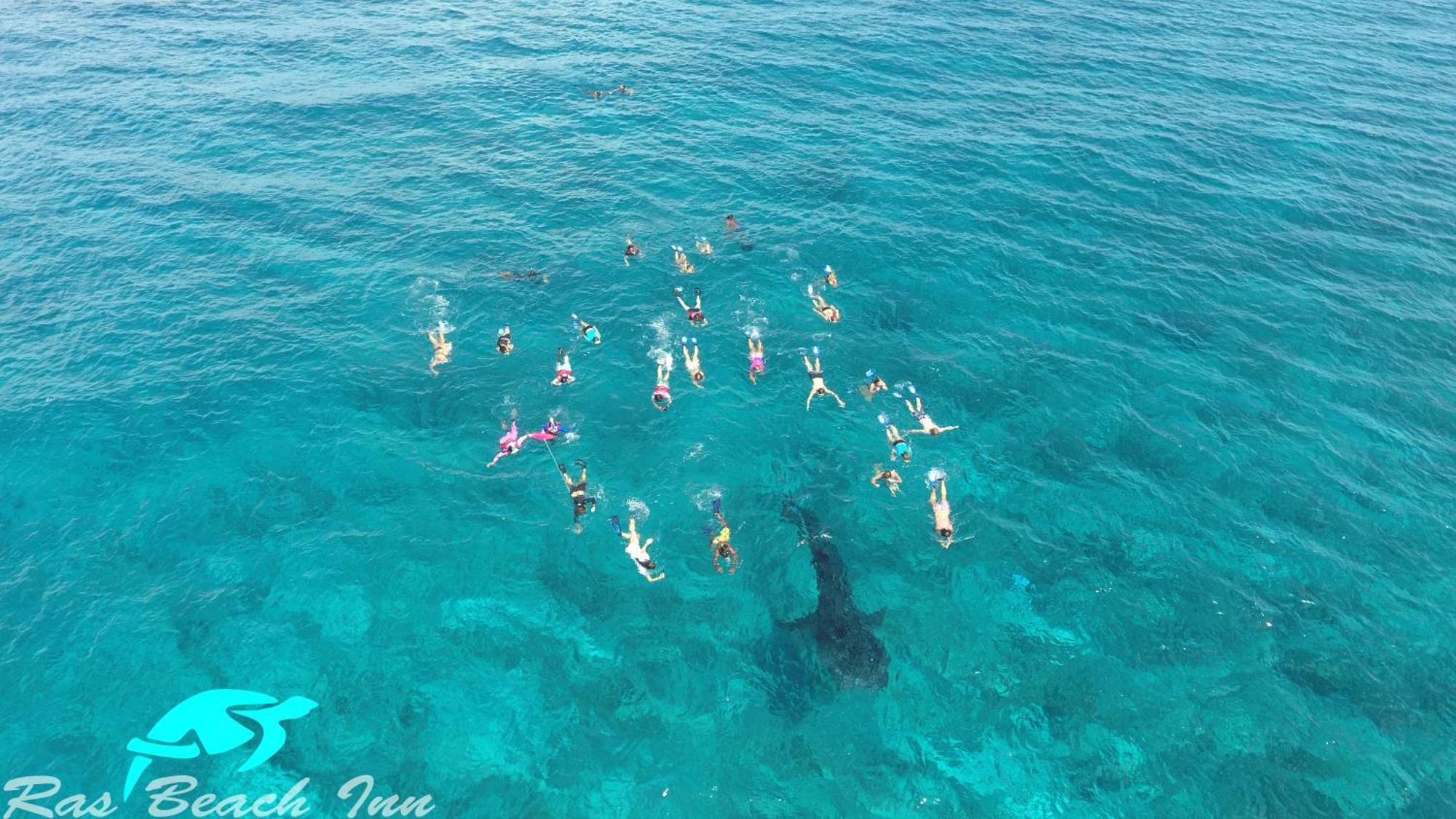Ras Beach Inn Rasdhoo Zewnętrze zdjęcie