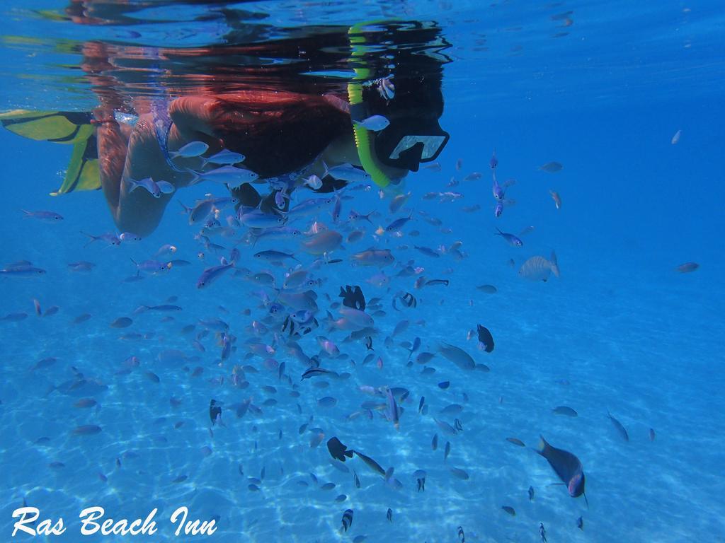 Ras Beach Inn Rasdhoo Zewnętrze zdjęcie