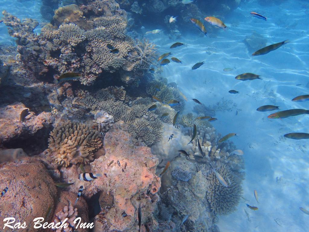 Ras Beach Inn Rasdhoo Zewnętrze zdjęcie