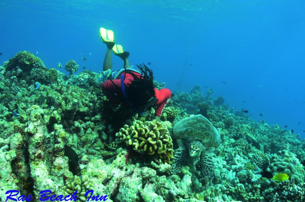 Ras Beach Inn Rasdhoo Zewnętrze zdjęcie