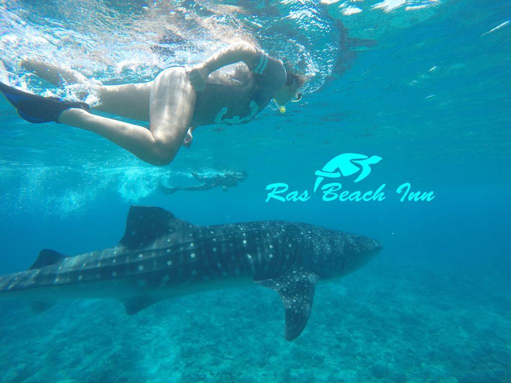 Ras Beach Inn Rasdhoo Zewnętrze zdjęcie